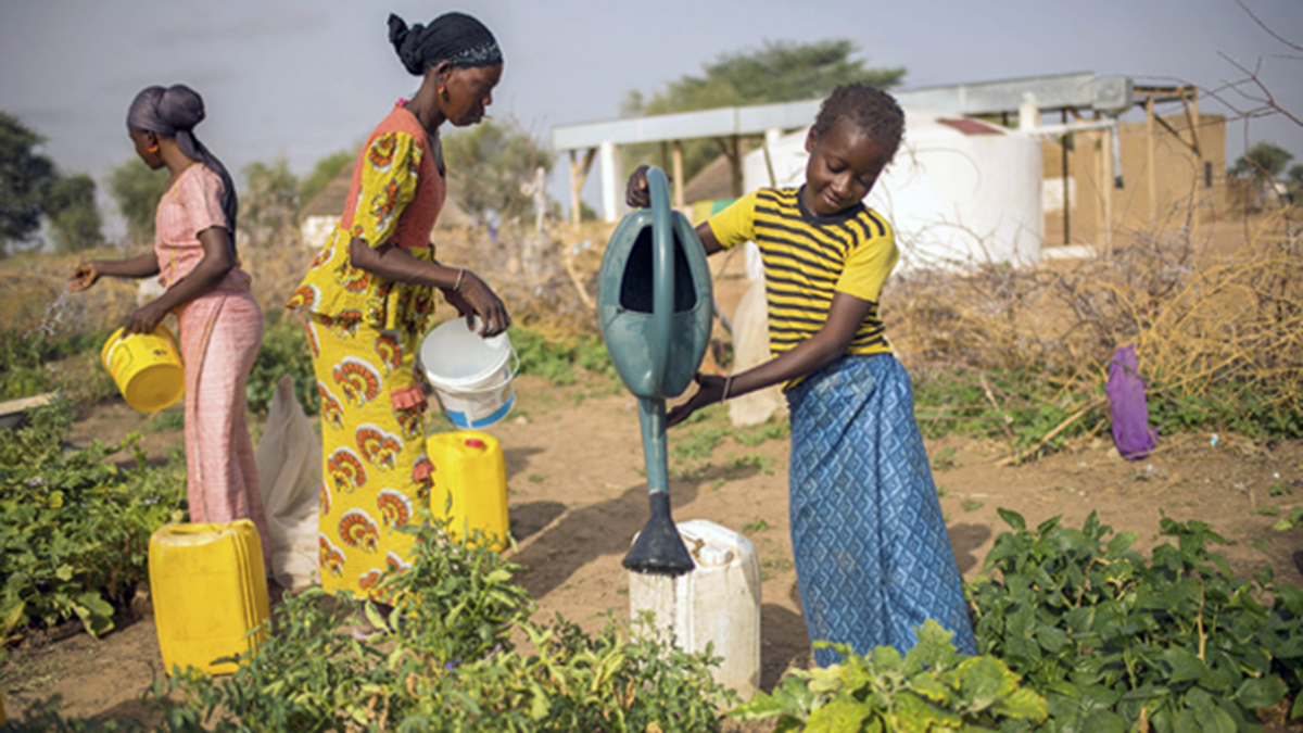 « Sécurité alimentaire : une agriculture adaptée » avec la FAO